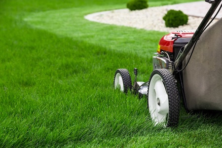 Top 5 Lawn Care Mistakes Homeowners Make in Early Spring